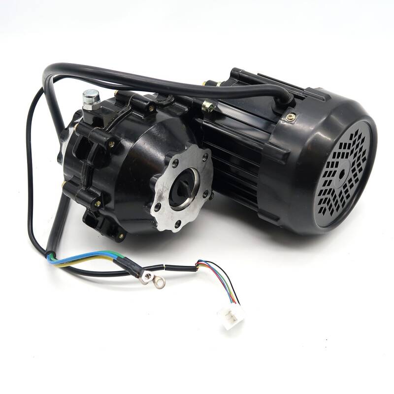 Trike15/25V3/V2Pm/V3Pm/Quad15/25V3/V2Pm/V3Pm/R31/Lib - Motor, 60V, 1000W mit Getriebe