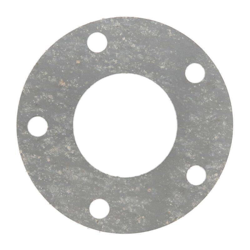 Trike15/25V2/V3/Quad15/25V2/V3/R26/R31 - Flanschdichtung für Hinterachse