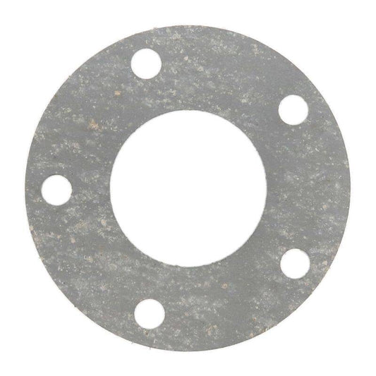 Trike15/25V2/V3/Quad15/25V2/V3/R26/R31 - Flanschdichtung für Hinterachse
