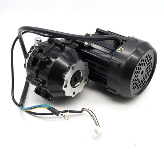Trike15/25V3/V2Pm/V3Pm/Quad15/25V3/V2Pm/V3Pm/R31/Lib - Motor, 60V, 1000W mit Getriebe