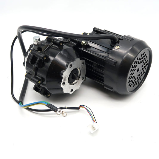 Rolektro Motor 60V, 1000 W mit Getriebe Trike 15/25 V.3 / R31